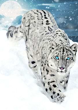 Snow Leopard