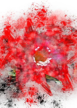 Red watercolor flowers