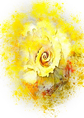 yellow flowers bloom