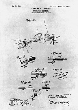 No500 Mustache curlers