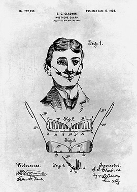 No499 Mustache guard