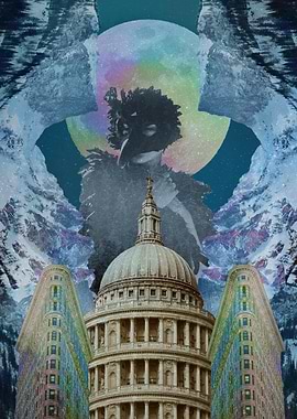 Being a bird in the city