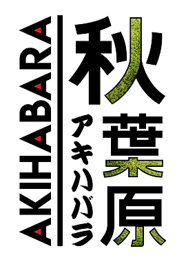 Japan Akihabara ArtStyle