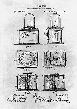 No444 Coin and dice throwe