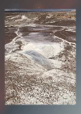 Petrified Forest 27