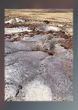 Petrified Forest 2