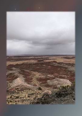 Petrified Forest 4