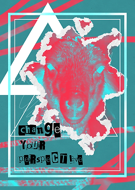 Change your perspective