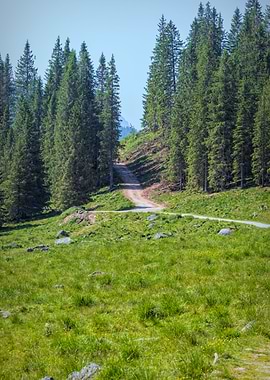 trail in the mountain