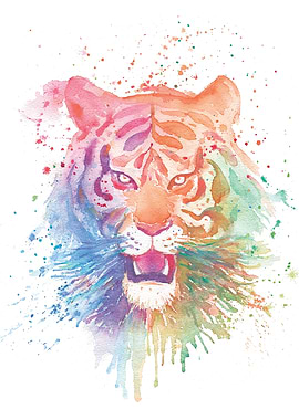 Colourful Tiger