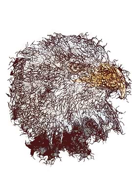 Abstract Eagle