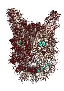 Abstract Cat