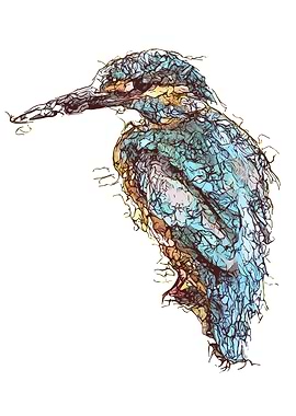 Abstract And Colorful Bird