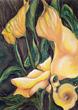 Calla Lily Yellow