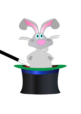 Magic Rabbit Hat