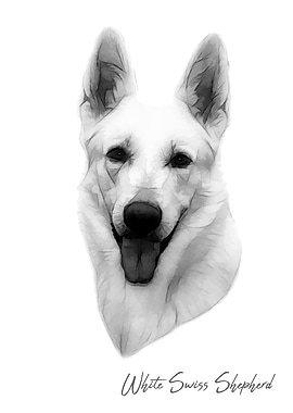 White Swiss Shepherd dog