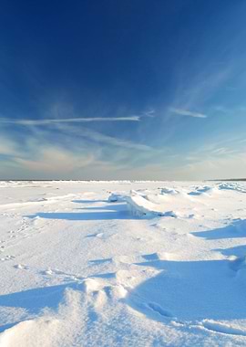 Ice Desert Winter Landscap