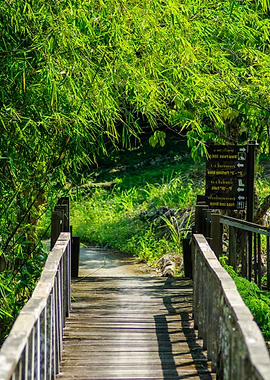 Bridges Bamboo Tropical Ra