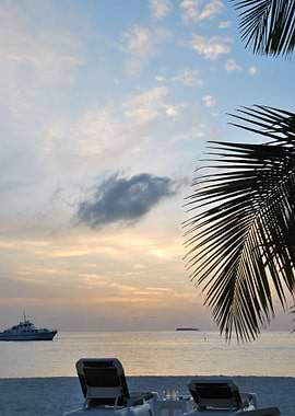 Beautiful Sunset On A Trop