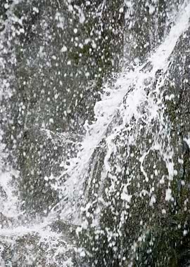 In The Harz Mountains