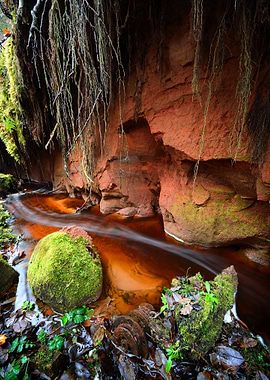 Small River Scene Among Ro
