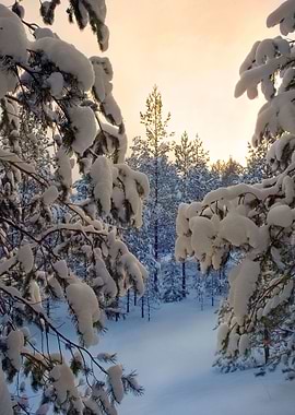 Stunning Backgrounds