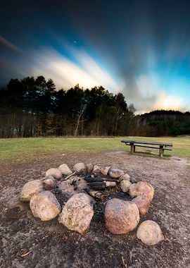 Landscape With Outdoor Fir
