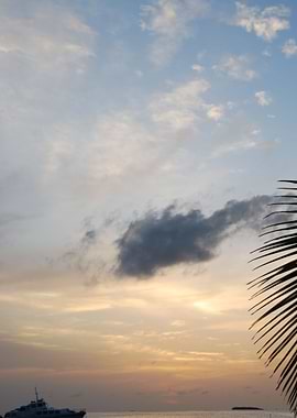 Beautiful Sunset On A Trop