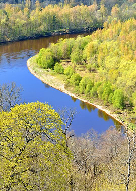 Spring Landscape In Siguld
