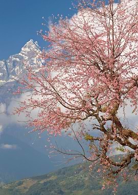 Stunning Backgrounds