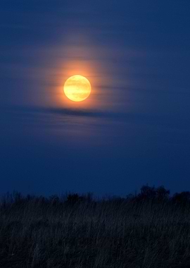 Full Moon Over Rural Lands