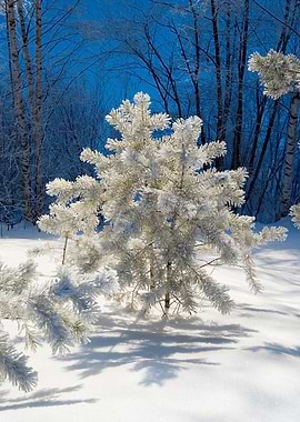 Stunning Backgrounds