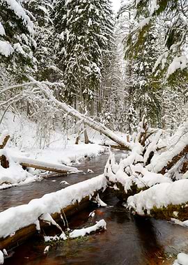 Winter River Valley Landsc