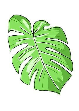 Monstera Leaf