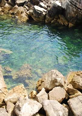 Beautiful Lagoon With Gree