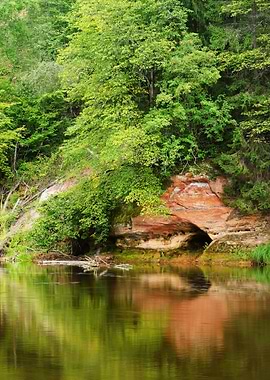 Sandstone Cliffs In Gauja