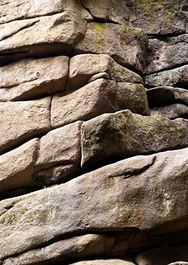 In The Harz Mountains