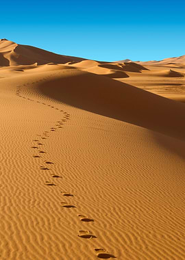 Stunning Backgrounds