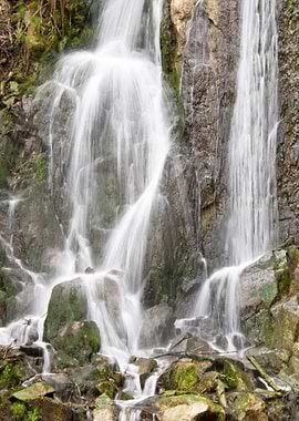 In The Harz Mountains