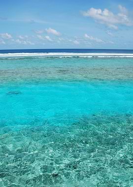 Maldives Scene With Gorgeo