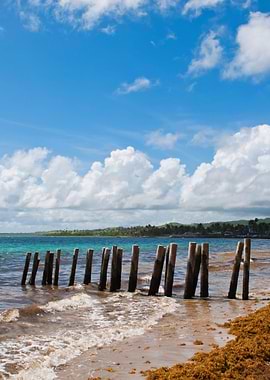 Pier Stilts On Beach