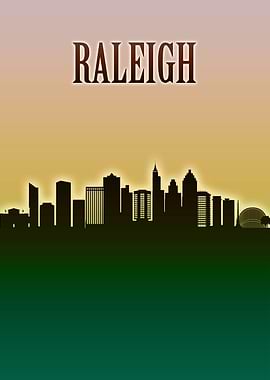 Raleigh Skyline Minimal