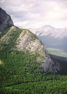 Forrest surrounding rock