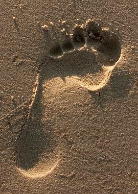 Foot Print In The Sand