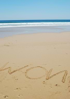 Holidays Background On Bea