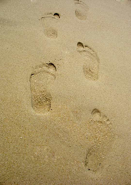 Footprints In Sand