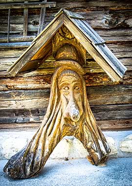 In the fairytale forest