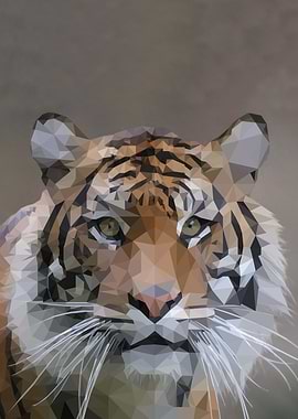 Tiger Portrait