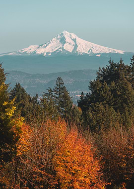 Mt Hood in autumn
