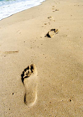 Shot Of Footprints In The